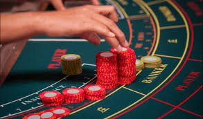 Settled bet history showing results and payout amounts